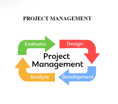 how to handle a project management paper