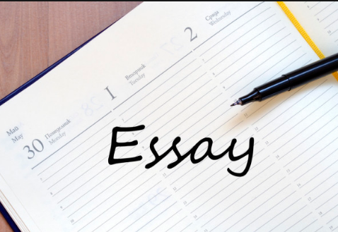 how to write a customer's essay at writemyessays