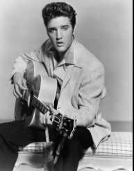 the life and times of elvis presley