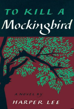 An Understanding of the Book"To Kill a Mockingbird"