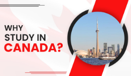 why study in canada?