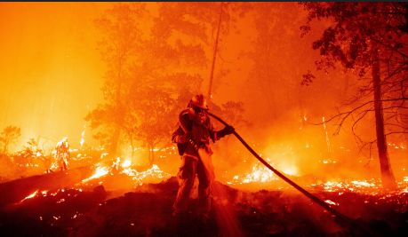 the impact and causes of L.A fires